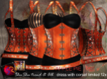 ShuShu & ALB APPLE PIE corset dress limited 12x