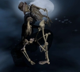 skeleton_015